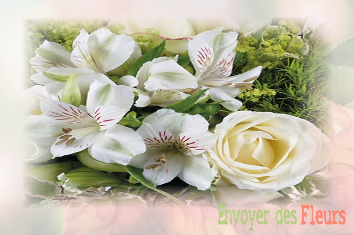 envoyer des fleurs à à VILLIERS-VINEUX