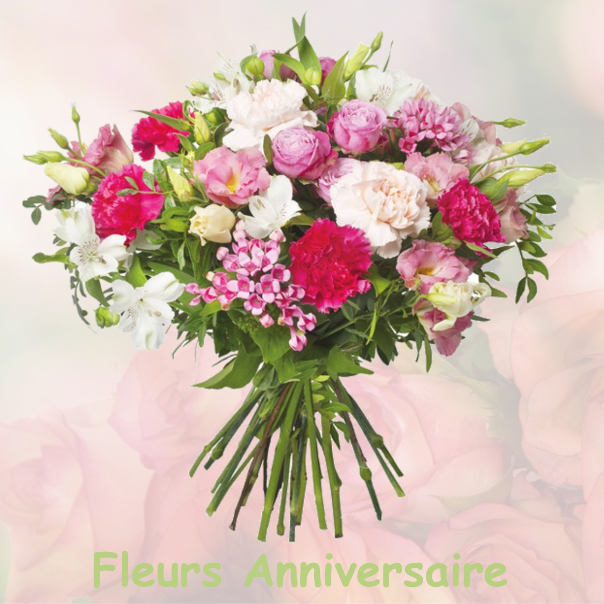 fleurs anniversaire VILLIERS-VINEUX